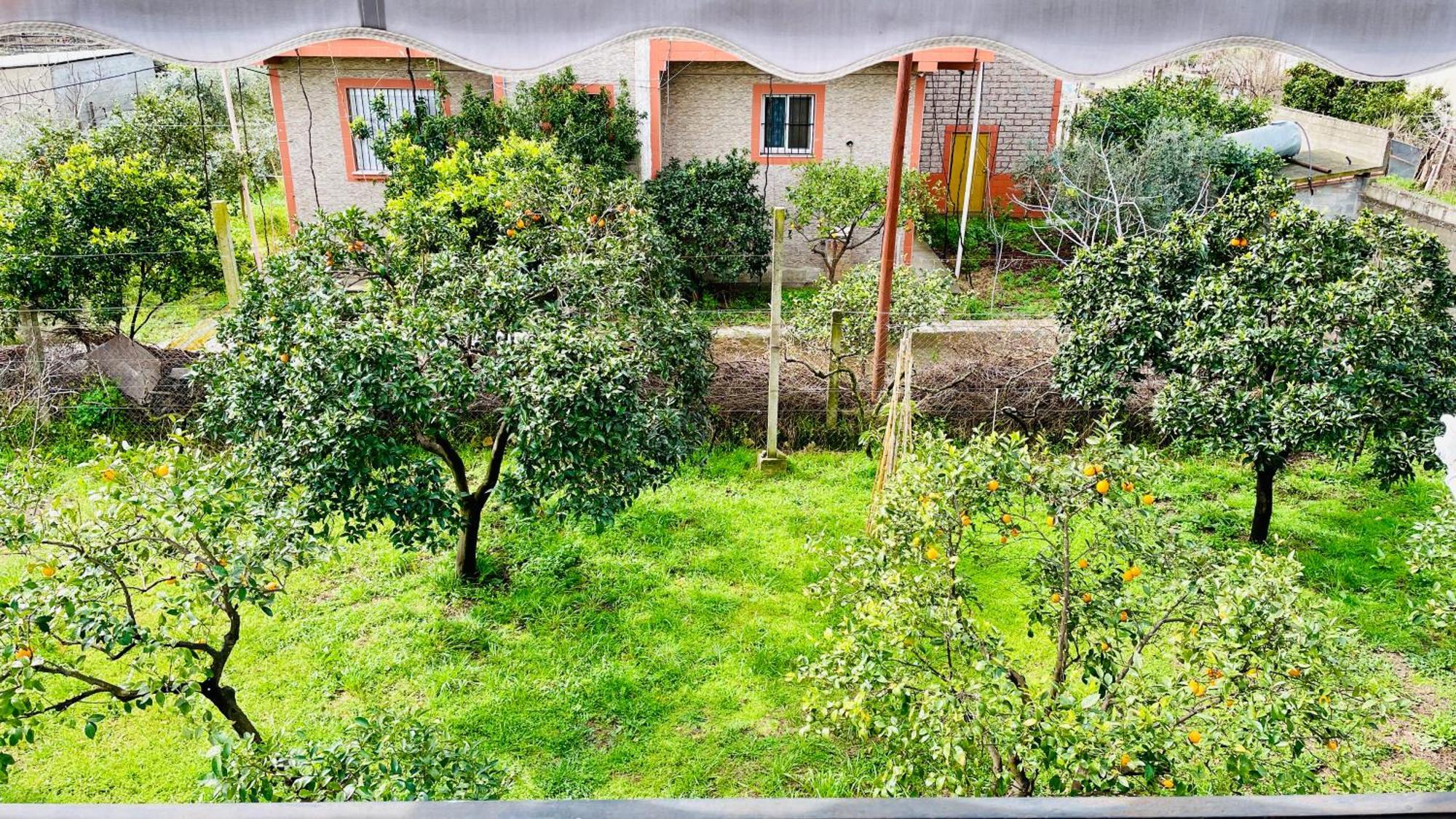 Mia Guest House - Entire Home With Balcony & Garden Divjake Luaran gambar